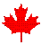 Canada Leaf